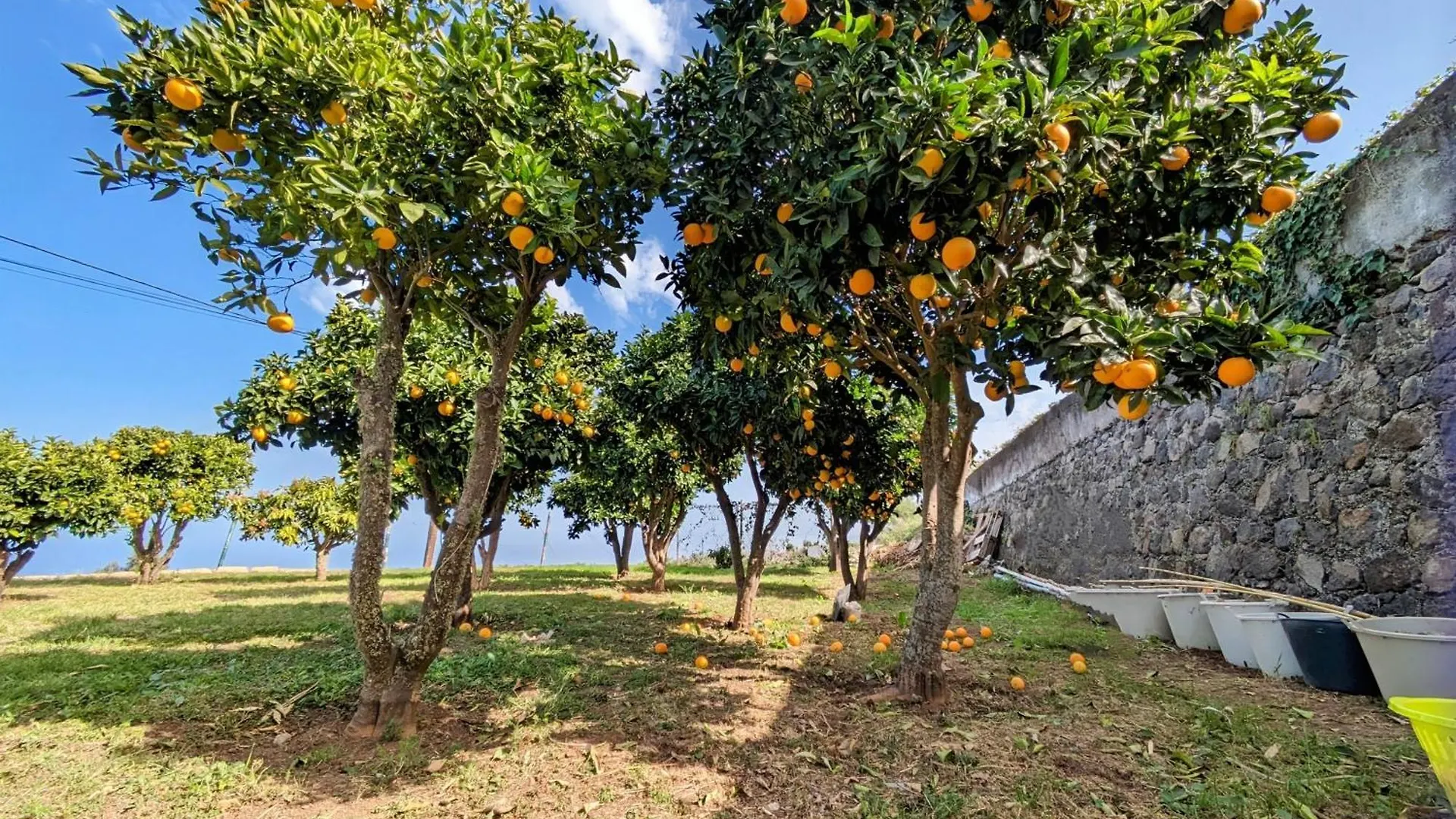 Finca La Bodeguita Icod De Los Vinos Prázdninový dům