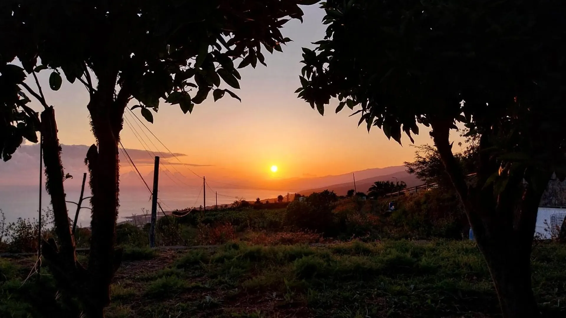 Finca La Bodeguita Icod De Los Vinos Španělsko